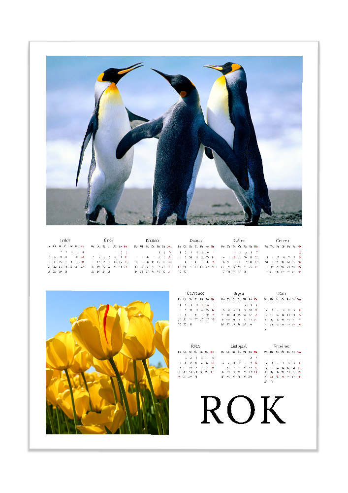 Fotokalendář z vlastních fotek jako plakát - nejlevnější verze kalendáře. - Bílý
