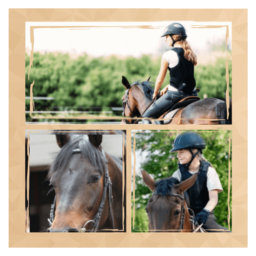 destka modra vnitřní