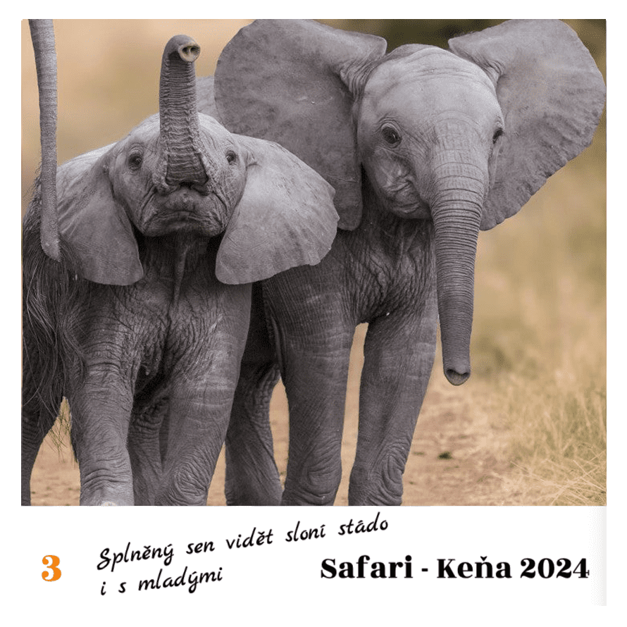 destka modra vnitřní