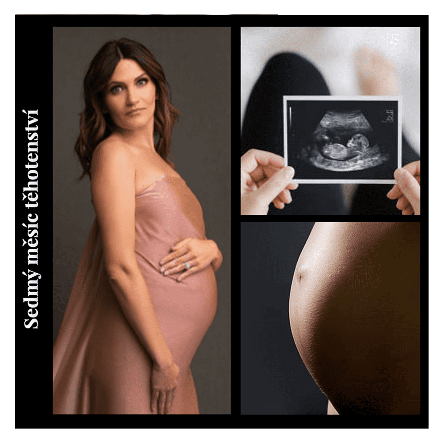 Fotokniha online do 24hod. Akce na růžovou fotoknihu 21cm - Elegantní černá