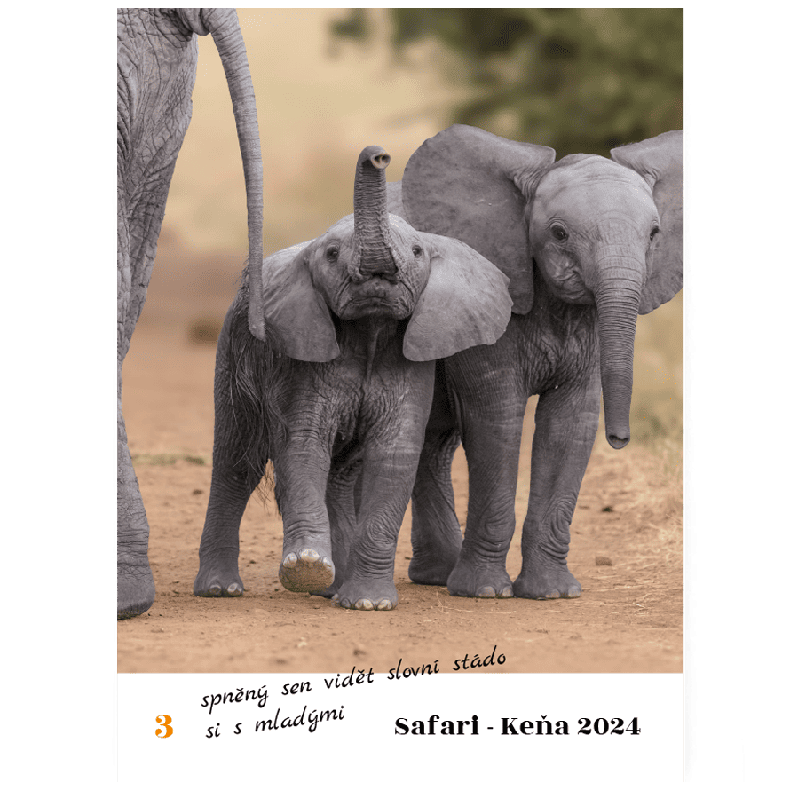 Fotokniha online. Akce na fotoknihy - A4 v barvě perleťové - Cestovatelská