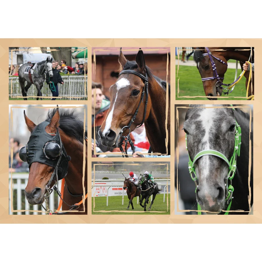 Elegatní černá- vnitřní