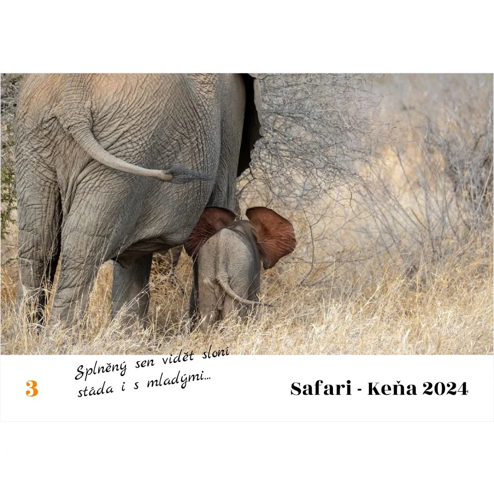 Cestovatelská- vnitřní