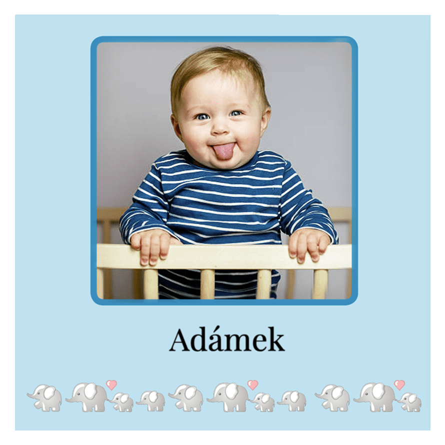 Kvalitní fotokniha a vlastní foto na deskách. Levně online. - Dětská Modrá